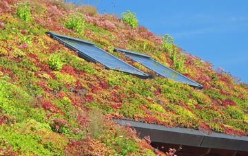 Wilsden Hill living roof systems
